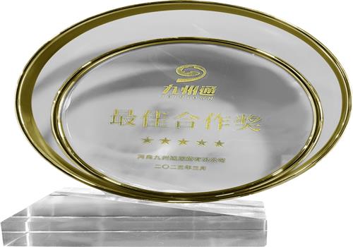 2022年度九州通最佳合作奖