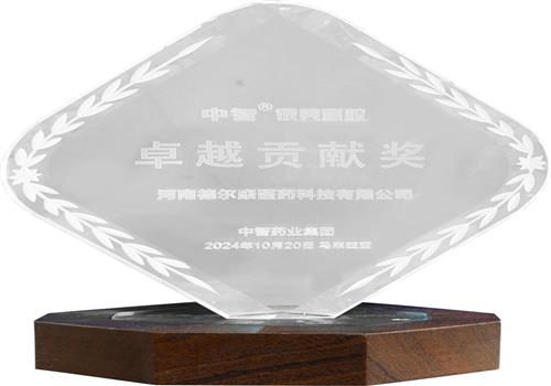 2024年度中智药业集团卓越贡献奖