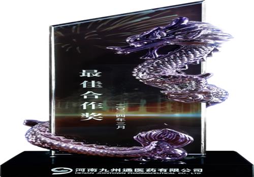 2024年度最佳合作奖